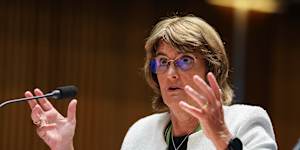 Reserve Bank governor Michele Bullock has conceded that government spending has contributed to the lift in spending across the economy.