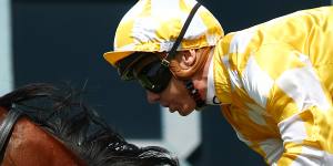 Shinn confident the Golden Slipper will fit Lady Of Camelot