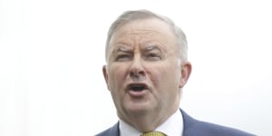 Albanese says Labor's climate debate has been'managed'