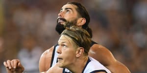 Eyes on prize:Brodie Grundy and Rhys Stanley compete for the ball in the round one match this year between the Pies and Cats.