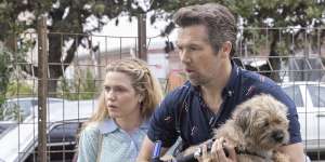Harriet Dyer and Patrick Brammall star as a couple brought together by an injured dog in Colin from Accounts.
