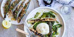 Barbecued sardines and burrata with charred zucchini and spring onions 