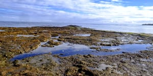 Almost six years on,charred human bones found at a Melbourne beach are still a mystery