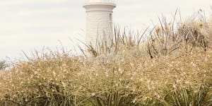 'Holiday within a holiday':Good Karma comes easy on Rottnest Island