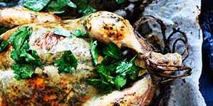 Roast tarragon chicken with lemon,caper and oliver salad.