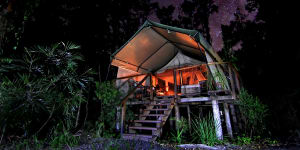 Close to nature:Paperbark Camp deluxe tent at night.