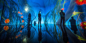 Tyama uses 80 speakers and 47 projectors to create an interactive immersive exhibition. 