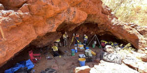 The Yirra rock shelter excavation. “The Pilbara probably has hundreds of sites,but we’re still in scramble mode,” says professor of archaeology,Peter Veth. 