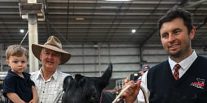 Peter Collins,with his son Brodie,grandson Eddie and Cydie the prize-winning cow at the Melbourne Royal Show on Thursday.