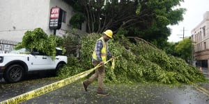 A worker drags caution tape to block off a fallen tree in Los Angeles. Tropical Storm Hilary is still carrying so much rain that forecasters said “catastrophic and life-threatening” flooding is likely.
