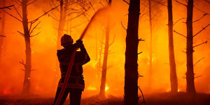 A firefighter puts water on a trees at a forest fire at La Test-de-Buch,southwestern France in July 2022. 