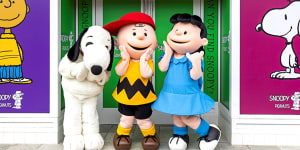 "Search for Snoopy,a Peanuts Adventure"is an interactive,"immersive"attraction that takes visitors into eight neighbourhoods where characters including Charlie Brown,Lucy,Linus,Peppermint Patti,Schroeder and of course Snoopy like to hang out.