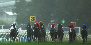 Emirate (second from left) revels in the going at a gloomy Rosehill on Saturday.