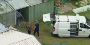 ‘Tragic loss’:Man mauled to death by dogs identified