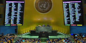 The UN resolution was supported by 143 nations with nine voting against and 25 abstaining.