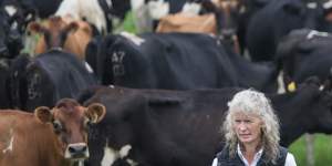 Dairy farmer Kate Lamb described Murray Goulburn's milk price cut as''a kick in the guts''.