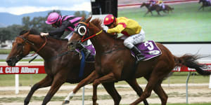 Race-by-race preview and tips for Albury on Monday