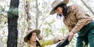 Royal National Park a haven for native species,environmental stocktake shows