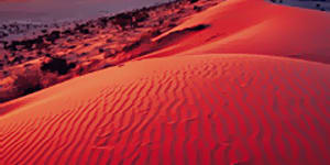 Sand swell ... the Simpson Desert has the longest network of parallel sand dunes in the world.