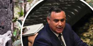 Nationals leader John Barilaro said his party will be working to bring back a SEPP (State Environmental Planning Policy) to deal with koala habitat."To bring back a strategy that deals with doubling its population and protecting its habitat."