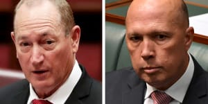 'It's a disgrace':Peter Dutton says the Greens are as bad as Fraser Anning on massacre