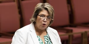 Liberals’ only Indigenous MP backs Dutton on Voice