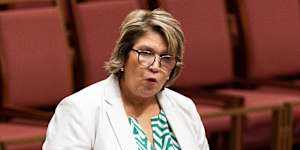 Senator Kerrynne Liddle says claims a failed Voice referendum would harm reconciliation are ‘outrageous’.