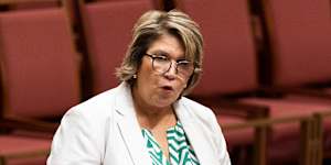 Liberals’ only Indigenous MP backs Dutton on Voice