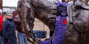 Homecoming for a hero:Sandy the War Horse statue unveiled