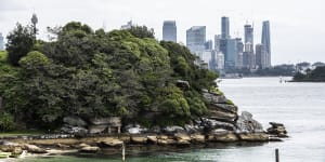 Summer in Sydney means ... cold beer,ferry rides and mosquitoes