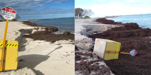 Throwing $500,000 into the sea:WA foreshore park ignores 2030 flood prediction