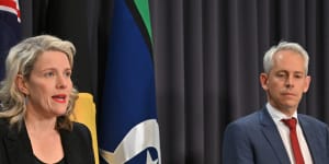 Labor takes on Dutton with plan to stem false asylum seeker claims