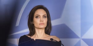 'If you asked me 20 years ago,I would've laughed':Angelina Jolie hints at move into politics