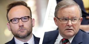 The Greens'Adam Bandt said young Australians would see Anthony Albanese's comments as proof that both Labor and the Liberals were"abandoning climate action". 