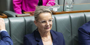 Deputy Opposition Leader Sussan Ley.