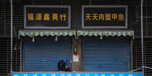 A security guard sits outside the closed Huanan Seafood Wholesale Market,