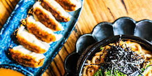 Gyoza and noodles.