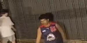 Police launch investigation after Eddie Betts shares footage of racial abuse