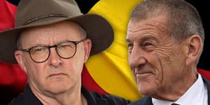 Albanese ‘owes it to the public’ to release Voice details:Jeff Kennett