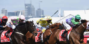 Prince of Penzance wins the Melbourne Cup.