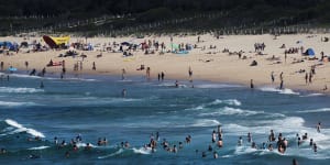 Maroubra Beach evacuated after four-metre shark spotted in water