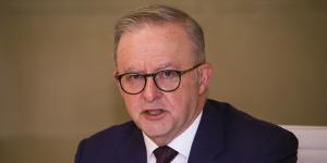 Albanese’s $925m escape money pledge just ‘one piece of the puzzle’