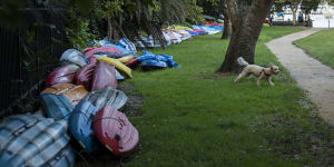 More than 100 boats,kayaks and paddle boards are left along fences at Rushcutters Bay and Beare Park.