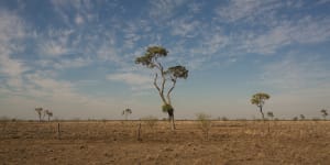 Councils seek to ease water pressure in Qld's drought-struck regions