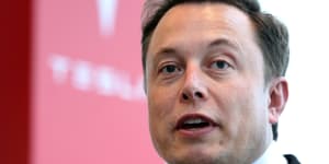 Elon Musk has endorsed a idea by a former Greens MP to build a tunnel through the Blue Mountains.