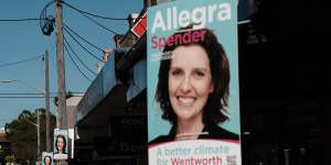 Allegra Spender’s campaign posters seriously aggrieved the Liberal Party - and Ausgrid,which took them down.