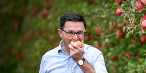 Nationals leader David Littleproud,in an apple orchard in Shepparton,is worried about independents eating into his party’s seats in Victoria. 