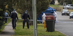 Police probe gang links after teenager fatally stabbed in Sydney brawl