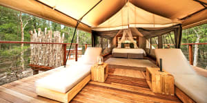At Paperbark,your luxury tent is perched on raised platforms among towering trees.