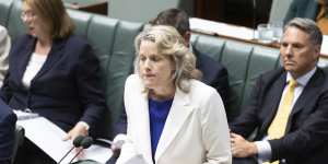 Home Affairs Minister Clare O’Neil during one of her seven answers to the same question from Deputy Opposition Leader Sussan Ley on Wednesday.